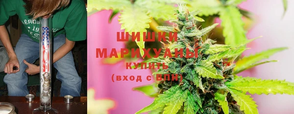 ГАЛЛЮЦИНОГЕННЫЕ ГРИБЫ Богородск