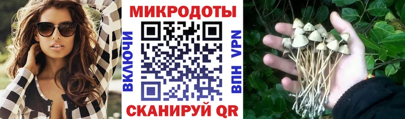Галлюциногенные грибы Psilocybine cubensis Старица
