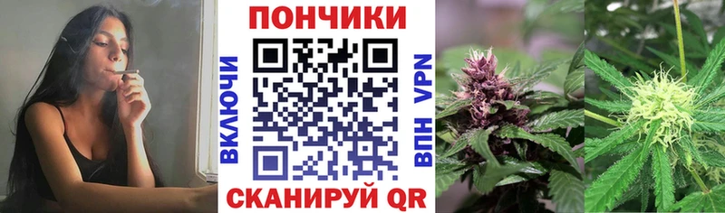 shop клад  Старица  Канабис OG Kush  хочу  